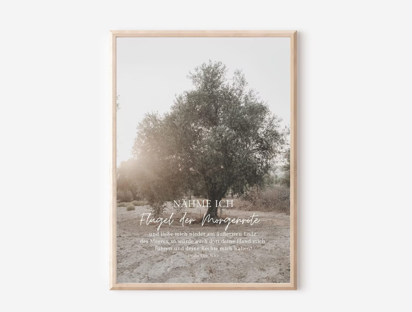 Poster Olivenbaum