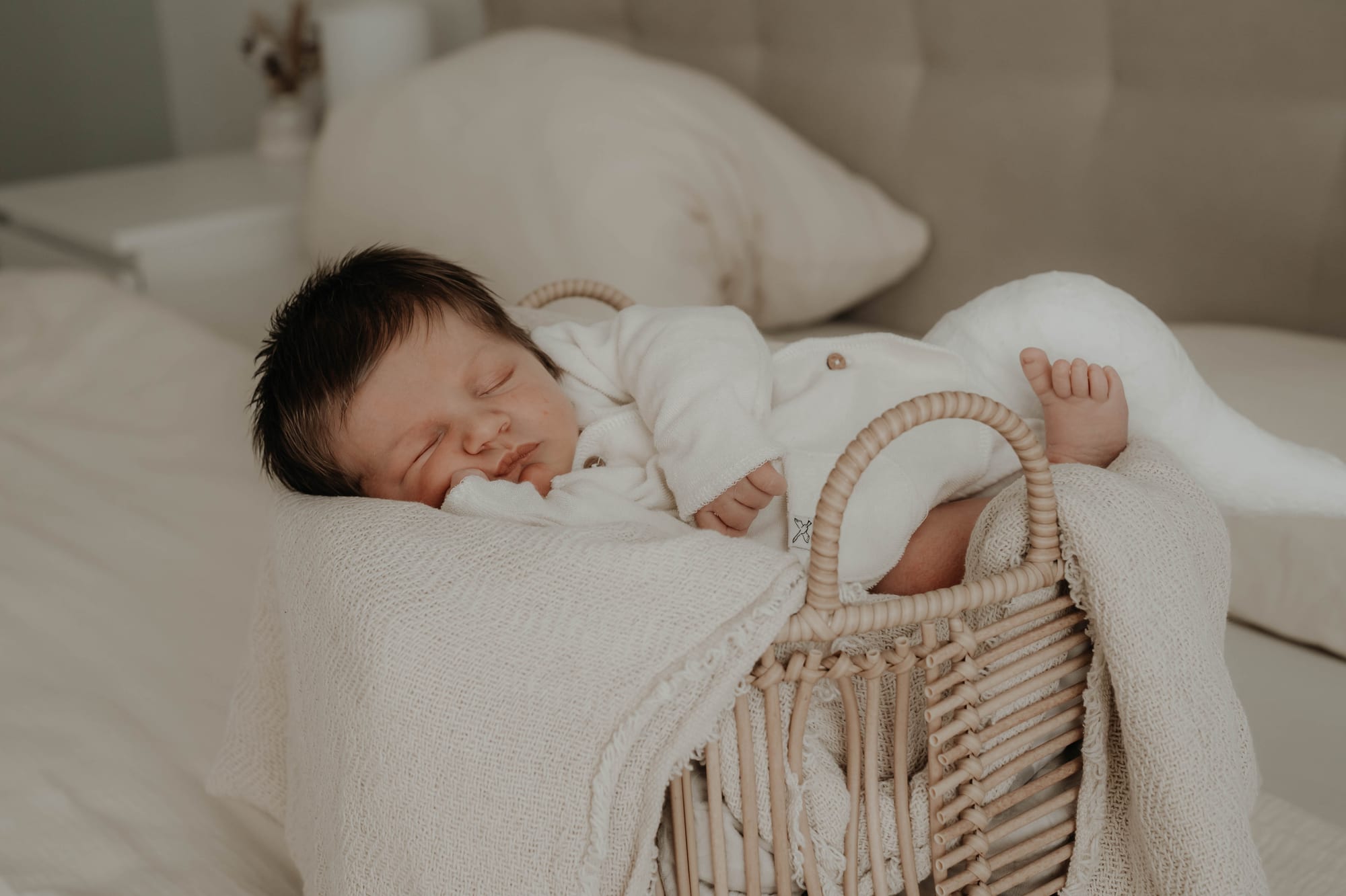 Baby Josua